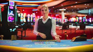 hometogel link user Mobile user and Brand